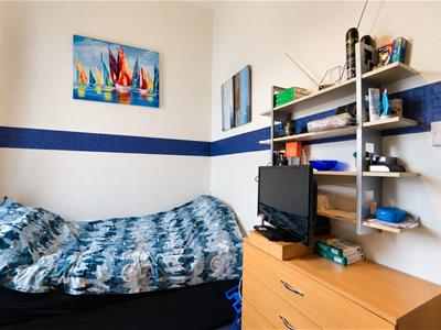 Picture 19